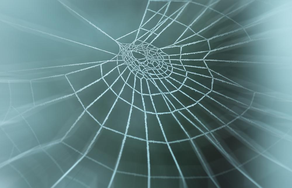 Web of Connectivity - Winchester Web Design Services Web of Connectivity - Winchester Web Design Services